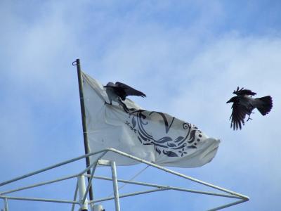 Прикрепленное изображение: DSCF6253.jpg